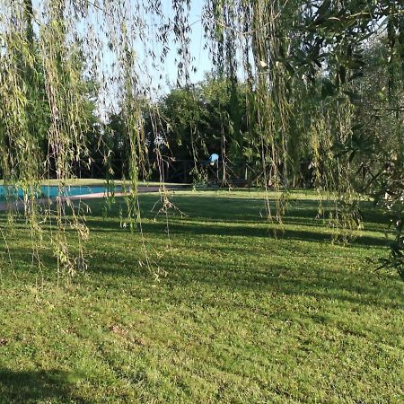 Residenza Il Platano Fortilizio Di Campiglia Rapolano Terme Exterior photo