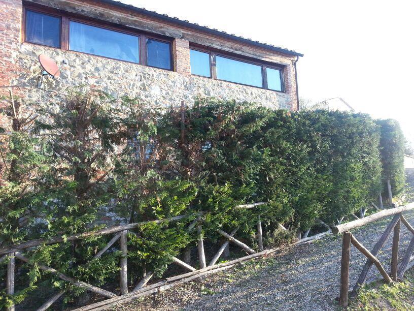 Residenza Il Platano Fortilizio Di Campiglia Rapolano Terme Exterior photo